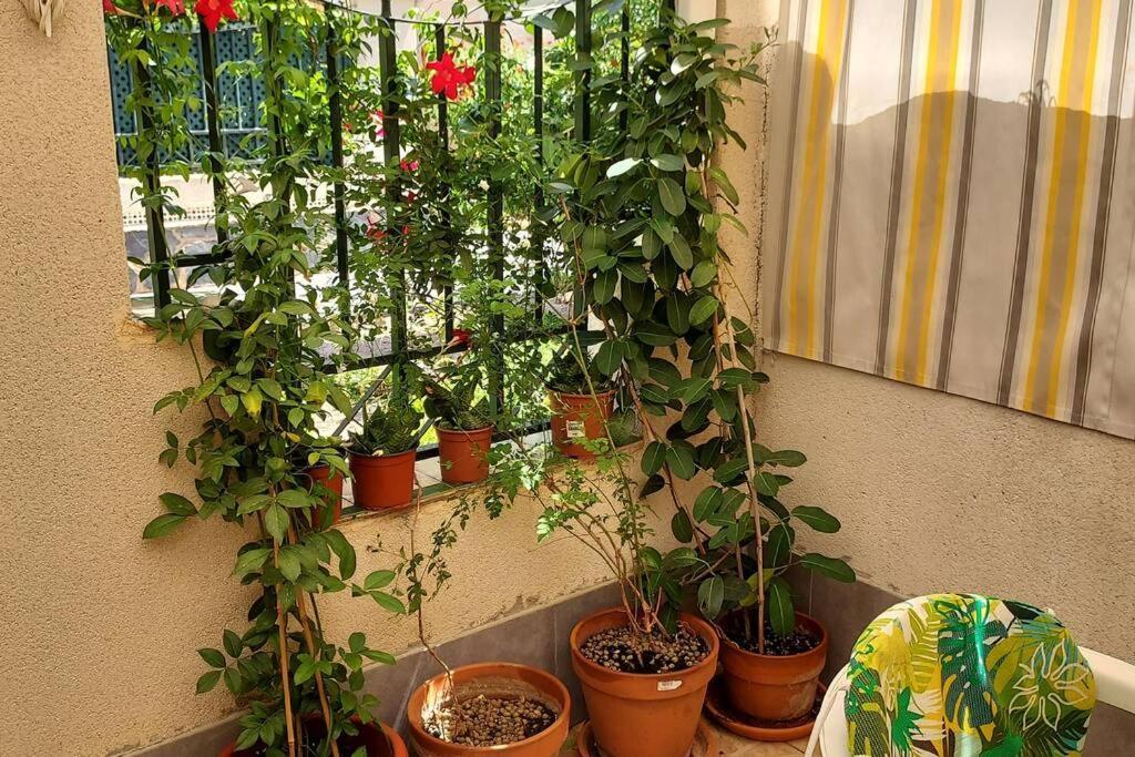 Bungalow Manuela En Santa Pola Dış mekan fotoğraf